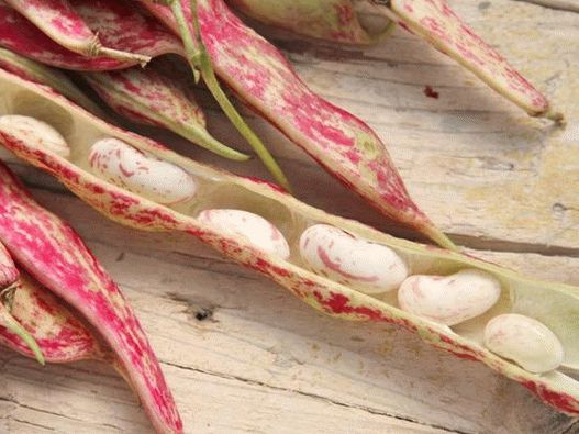 Lima fazole, červené a bílé,