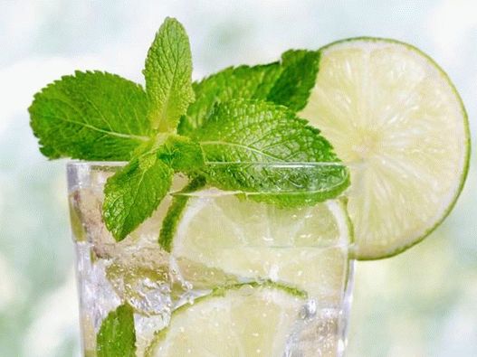 Mash fresh mojito mint Mash fresh mojito mint