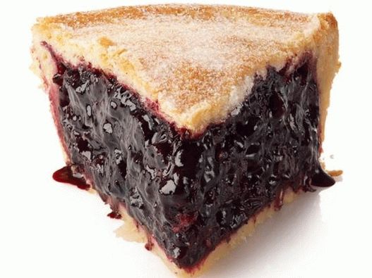 Fotografie - uzavřený borůvkový koláč