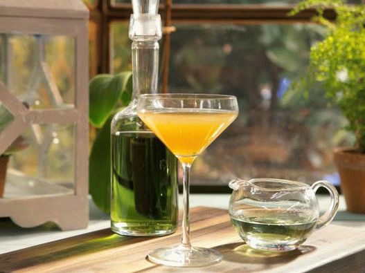 Foto citrusový koktejl s estragonem