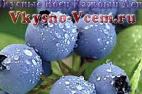 Borůvky na zimu. Recepty