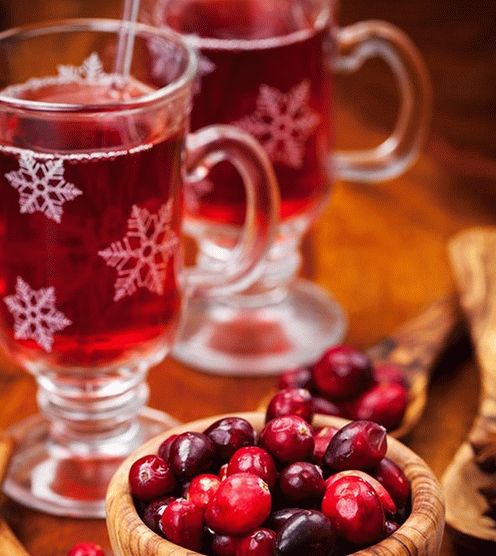 Foto horký jablečný mošt s brusinkami