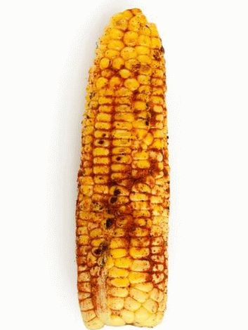 Fotka z kari kukuřice