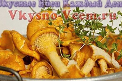 Lišky speciálně marinované