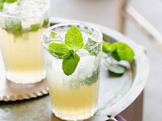 Foto - máta julep s nimbus pani