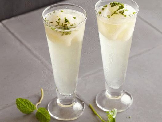 Fotka z Sgroppino (italský koktejl)